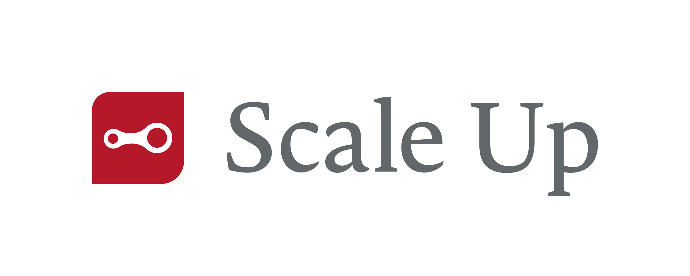 logo Scale Up
